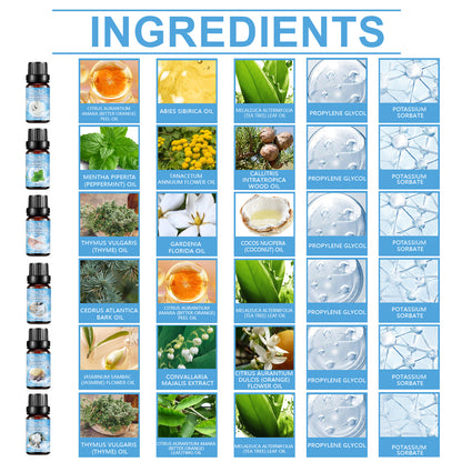 The Core Essence S1 | Molecular Cleansing Suite